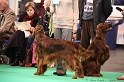 Crufts2011 376